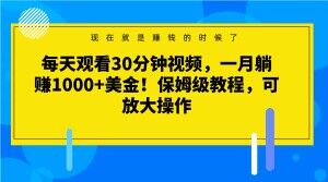 每天观看30分钟视频，一月躺赚1000+美金！保姆级教程，可放大操作【揭秘】-第一资源站