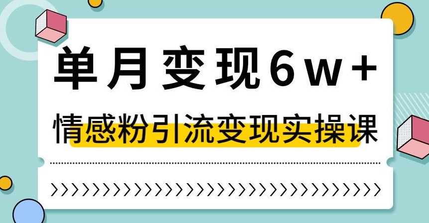 单月变现6W+，抖音情感粉引流变现实操课，小白可做，轻松上手，独家赛道【揭秘】-第一资源站