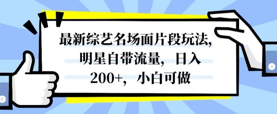 最新综艺名场面片段玩法，明星自带流量，日入200+，小白可做【揭秘】-第一资源站