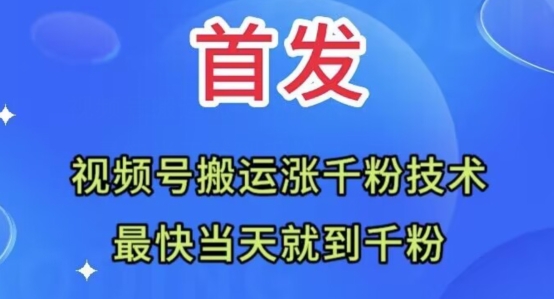 全网首发：视频号无脑搬运涨千粉技术，最快当天到千粉【揭秘】-第一资源站