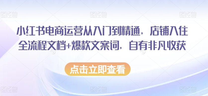 小红书电商运营从入门到精通，店铺入住全流程文档+爆款文案词，自有非凡收获-第一资源站