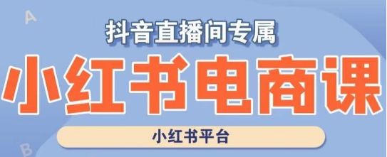 小红书电商高级运营课程，实操教学+案例分析-第一资源站