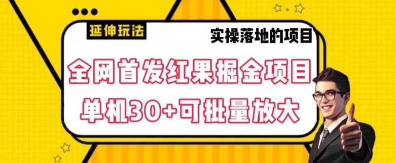 全网首发红果免费短剧掘金项目，单机30+可批量放大【揭秘】-第一资源站