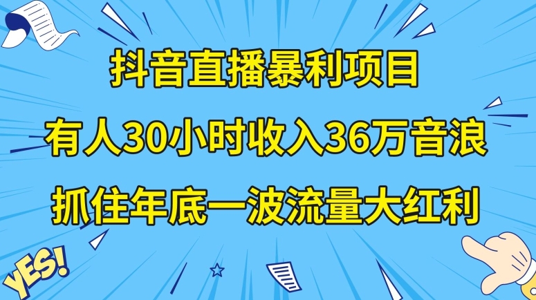 抖音直播暴利项目，有人30小时收入36万音浪，公司宣传片年会视频制作，抓住年底一波流量大红利【揭秘】-第一资源站