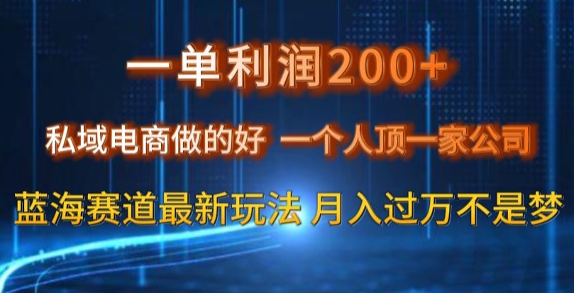 一单利润200私域电商做的好，一个人顶一家公司蓝海赛道最新玩法【揭秘】-第一资源站