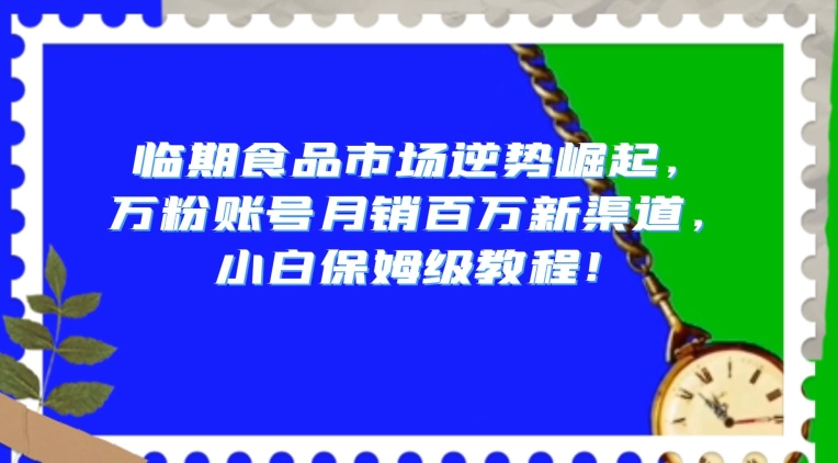 临期食品市场逆势崛起，万粉账号月销百万新渠道，小白保姆级教程【揭秘】-第一资源站