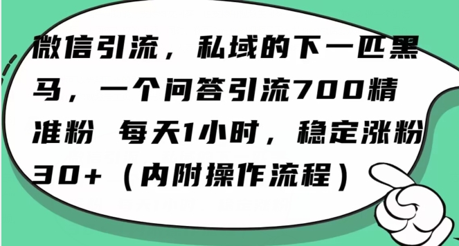 怎么搞精准创业粉？微信新赛道，每天一小时，利用Ai一个问答日引100精准粉-第一资源站