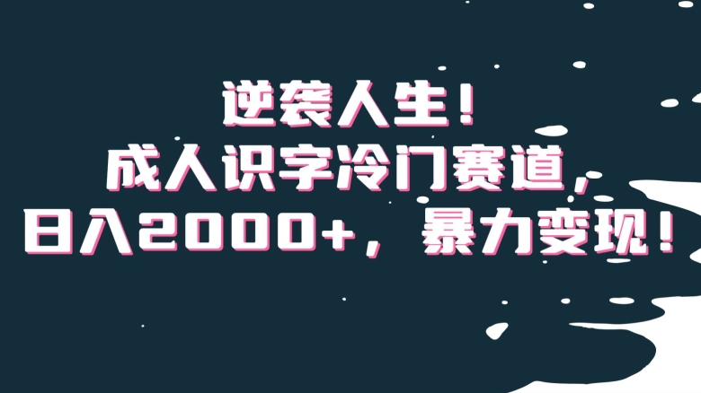 逆袭人生！成人识字冷门赛道，日入2000+，暴力变现！【揭秘】-第一资源站