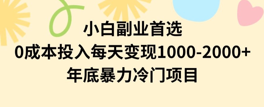 小白副业首选，0成本投入，每天变现1000-2000年底暴力冷门项目【揭秘】-第一资源站