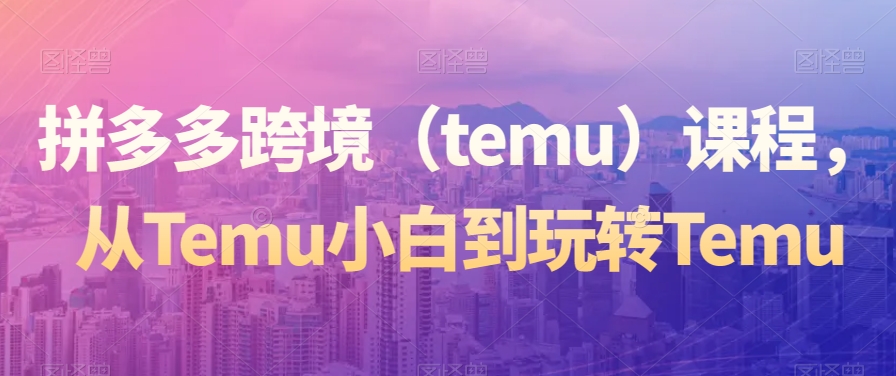 拼多多跨境（temu）课程，从Temu小白到玩转Temu-第一资源站