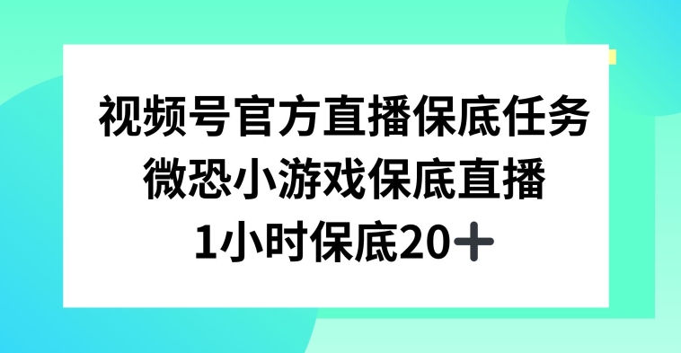 视频号直播任务，微恐小游戏，1小时20+【揭秘】-第一资源站