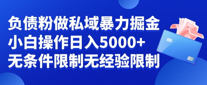 负债粉私域暴力掘金，小白操作入5000，无经验限制，无条件限制【揭秘】-第一资源站