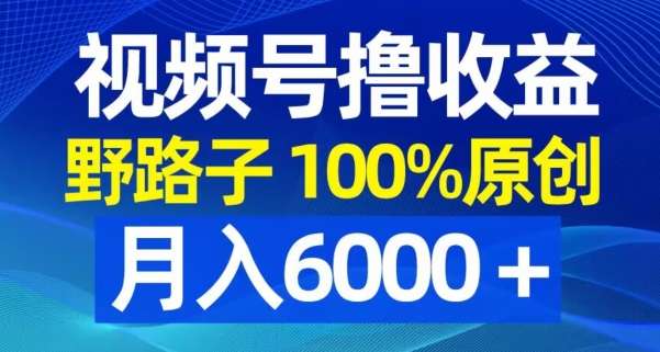 视频号野路子撸收益，100%原创，条条爆款，月入6000＋【揭秘】-第一资源站