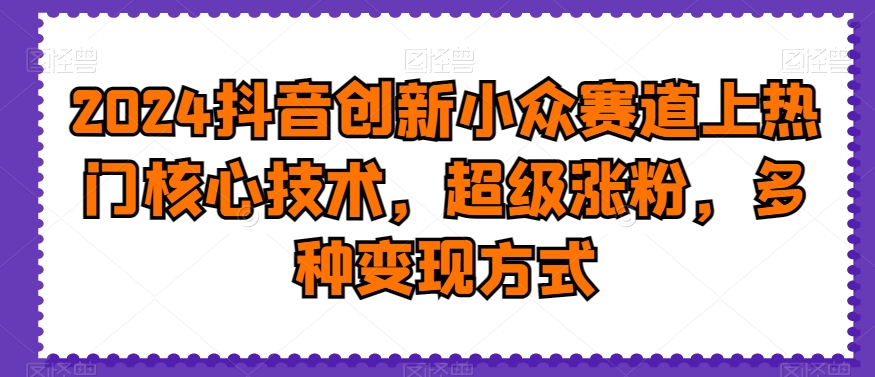 2024抖音创新小众赛道上热门核心技术，超级涨粉，多种变现方式【揭秘】-第一资源站