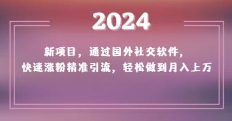 2024新项目，通过国外社交软件，快速涨粉精准引流，轻松做到月入上万【揭秘】-第一资源站