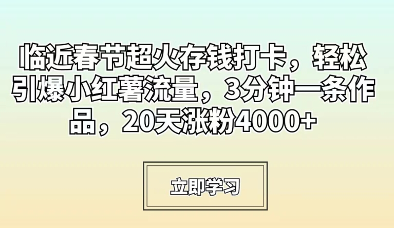 临近春节超火存钱打卡，轻松引爆小红薯流量，3分钟一条作品，20天涨粉4000+【揭秘】-第一资源站