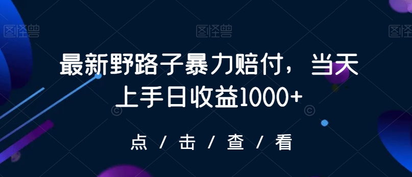 最新野路子暴力赔付，当天上手日收益1000+【仅揭秘】-第一资源站