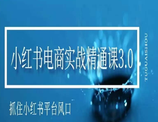 小红书电商实战精通课3.0，抓住小红书平台的风口，不错过有一个赚钱的机会-第一资源站