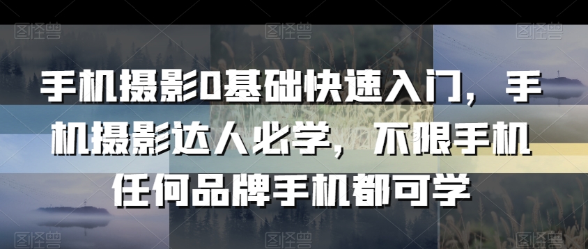 手机摄影0基础快速入门，手机摄影达人必学，不限手机任何品牌手机都可学-第一资源站