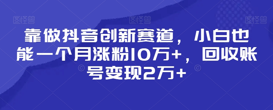 靠做抖音创新赛道，小白也能一个月涨粉10万+，回收账号变现2万+【揭秘】-第一资源站