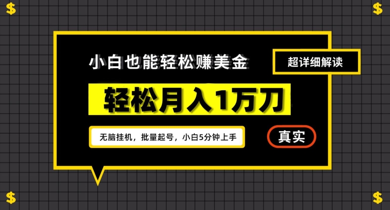 谷歌看广告撸美金2.0，无脑挂机，多号操作，月入1万刀【揭秘】-第一资源站