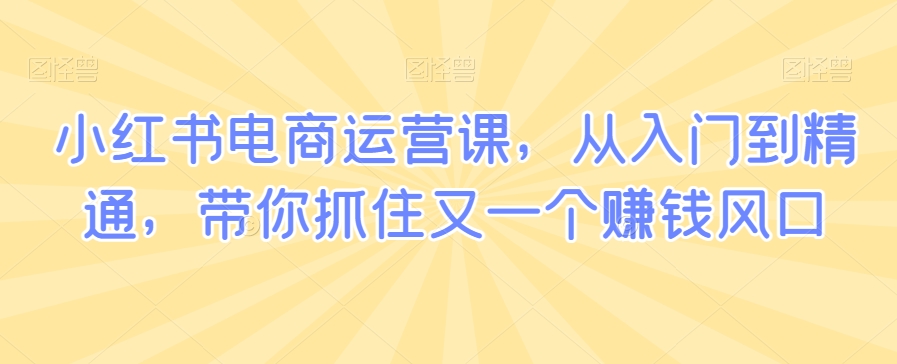 小红书电商运营课，从入门到精通，带你抓住又一个赚钱风口-第一资源站