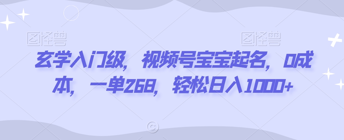 玄学入门级，视频号宝宝起名，0成本，一单268，轻松日入1000+【揭秘】-第一资源站