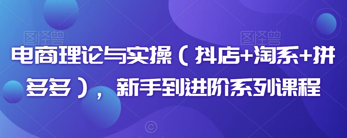 电商理论与实操（抖店+淘系+拼多多），新手到进阶系列课程-第一资源站