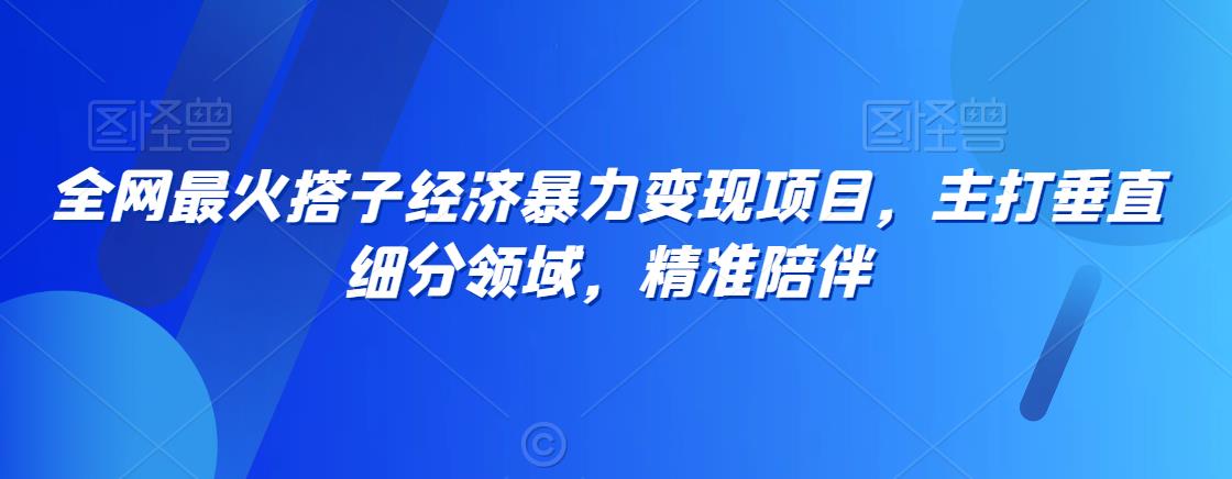 全网最火搭子经济暴力变现项目，主打垂直细分领域，精准陪伴【揭秘】-第一资源站