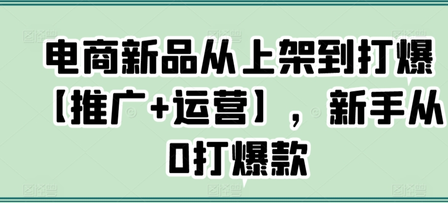 电商新品从上架到打爆【推广+运营】，新手从0打爆款-第一资源站