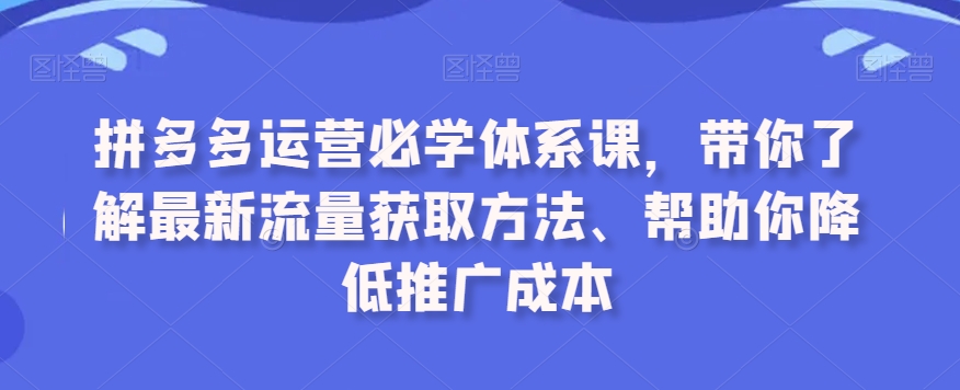 拼多多运营必学体系课，带你了解最新流量获取方法、帮助你降低推广成本-第一资源站