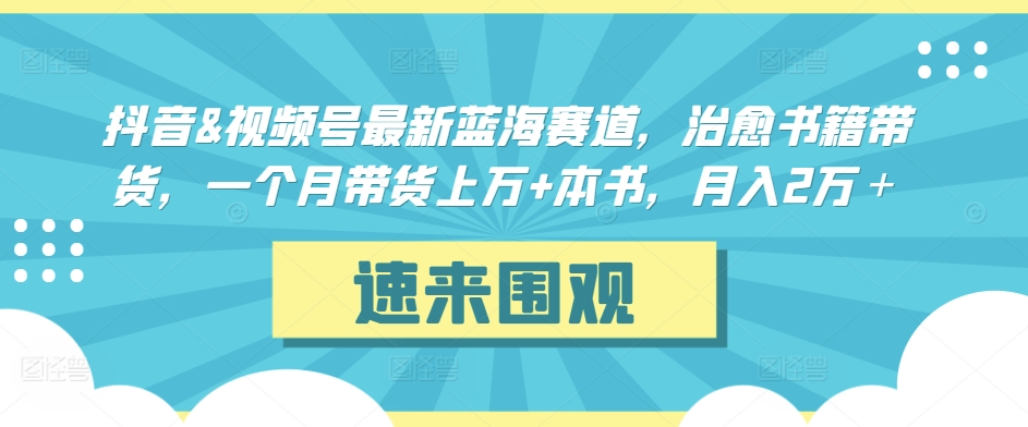 抖音&视频号最新蓝海赛道，治愈书籍带货，一个月带货上万+本书，月入2万＋【揭秘】-第一资源站