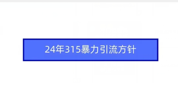 24年315暴力引流方针-第一资源站