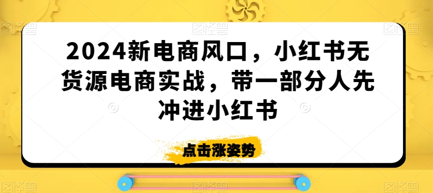 2024新电商风口，小红书无货源电商实战，带一部分人先冲进小红书-第一资源站