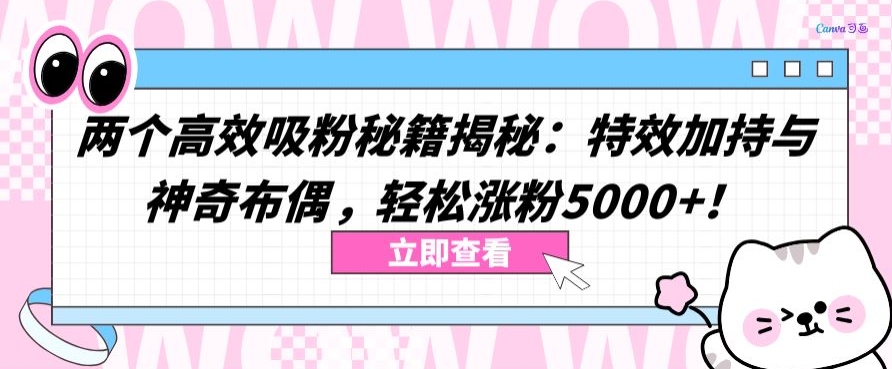 两个高效吸粉秘籍揭秘：特效加持与神奇布偶，轻松涨粉5000+【揭秘】-第一资源站