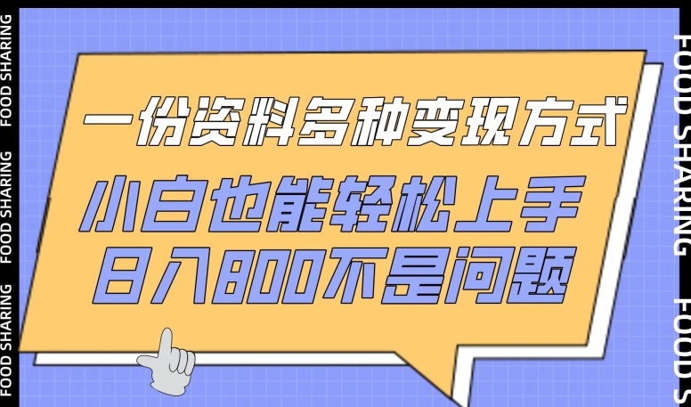 一份资料多种变现方式，小白也能轻松上手，日入800不是问题【揭秘】-第一资源站