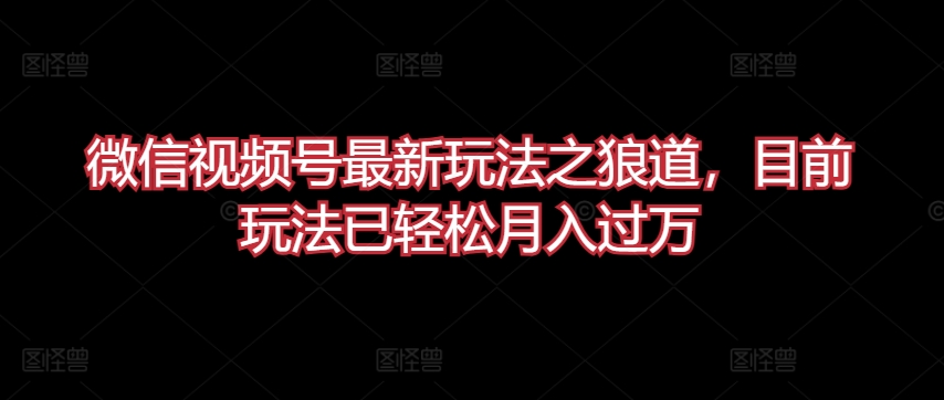 微信视频号最新玩法之狼道，目前玩法已轻松月入过万【揭秘】-第一资源站