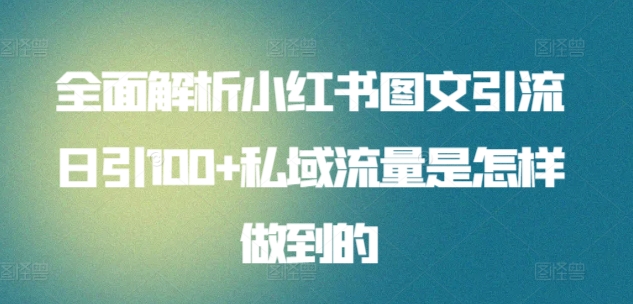 全面解析小红书图文引流日引100+私域流量是怎样做到的【揭秘】-第一资源站