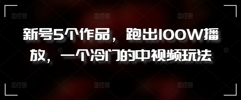 新号5个作品，跑出100W播放，一个冷门的中视频玩法【揭秘】-第一资源站