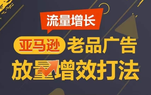 流量增长 亚马逊老品广告放量增效打法，短期内广告销量翻倍-第一资源站