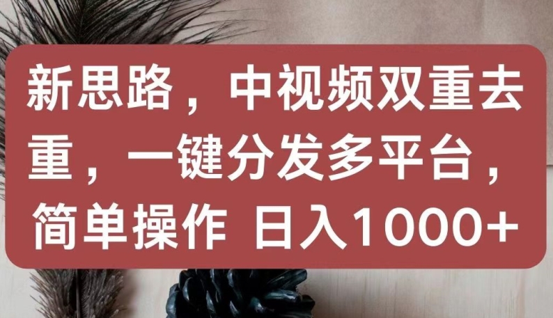 新思路，中视频双重去重，一键分发多平台，简单操作，日入1000+【揭秘】-第一资源站