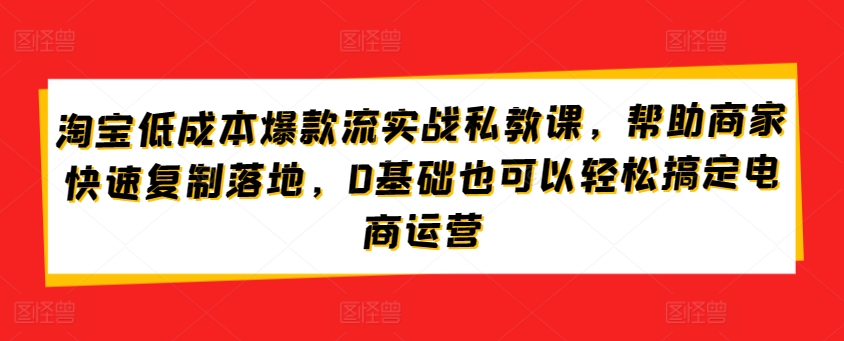 淘宝低成本爆款流实战私教课，帮助商家快速复制落地，0基础也可以轻松搞定电商运营-第一资源站