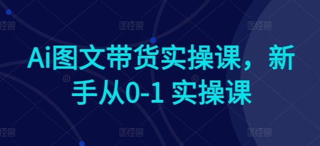 Ai图文带货实操课，新手从0-1 实操课-第一资源站