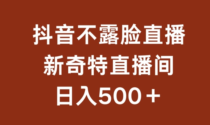 不露脸挂机直播，新奇特直播间，日入500+【揭秘】-第一资源站