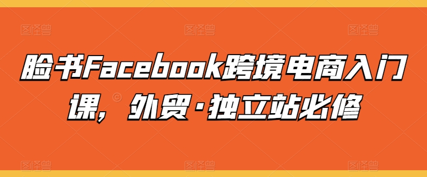 脸书Facebook跨境电商入门课，外贸·独立站必修-第一资源站