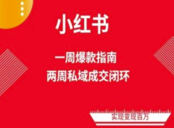 爆款小红书免费流量体系课程(两周变现)，小红书电商教程-第一资源站