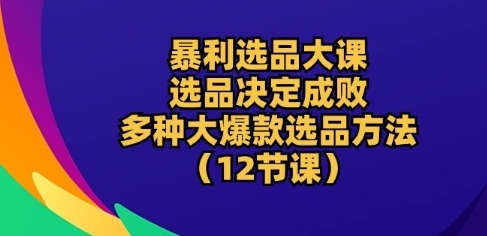 暴利选品大课：选品决定成败，教你多种大爆款选品方法(12节课)-第一资源站