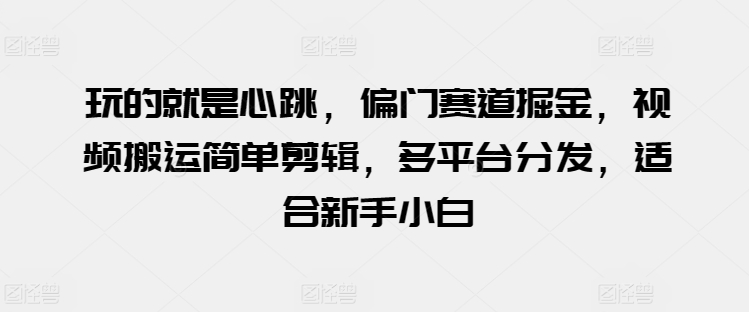 玩的就是心跳，偏门赛道掘金，视频搬运简单剪辑，多平台分发，适合新手小白【揭秘】-第一资源站