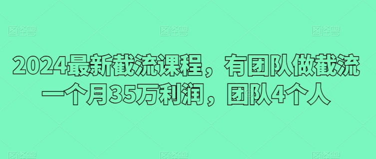 2024最新截流课程，有团队做截流一个月35万利润，团队4个人-第一资源站