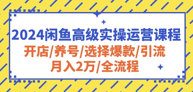 2024闲鱼高级实操运营课程：开店/养号/选择爆款/引流/月入2万/全流程-第一资源站